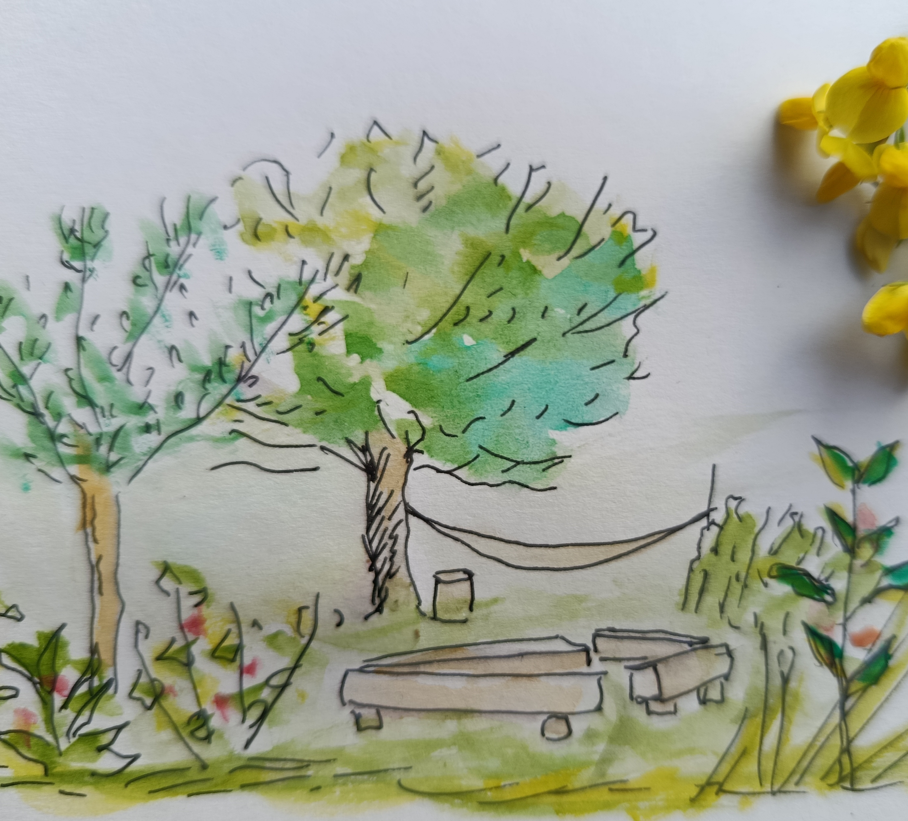 extrait du terrain